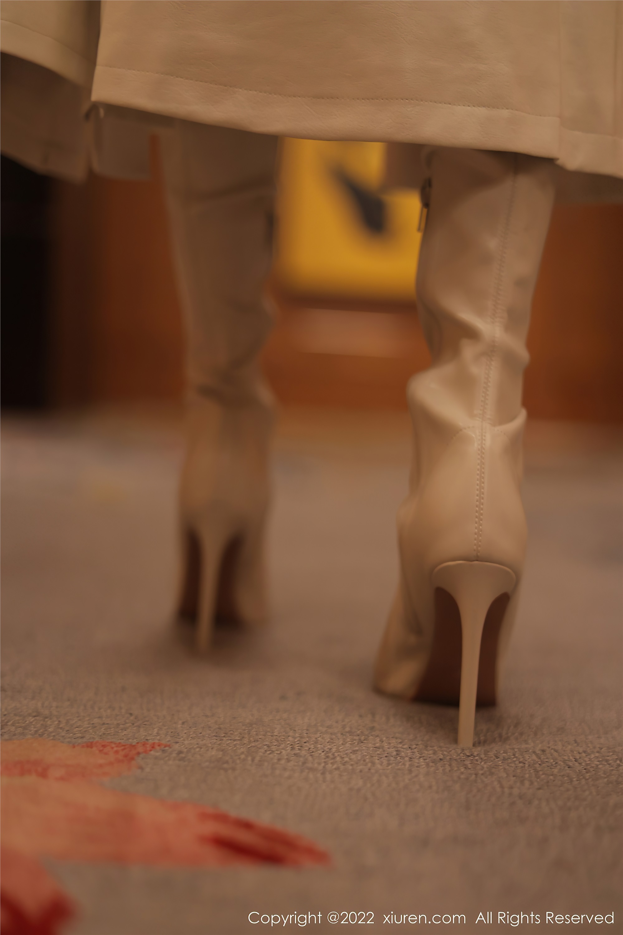 Xiuren秀人网 2022.01.21 NO.4495 果儿Victoria